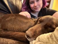 Sitter Profile Image: Piper O.