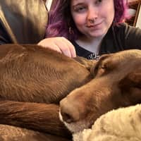 Sitter Profile Image: Piper O.