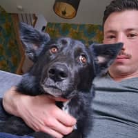 Photo de profil du pet sitter : Gregory F.