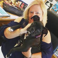 Sitter Profile Image: Jackie D.