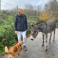 Foto del cuidador: Violeta S.