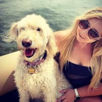 Best Dog Boarding In Milwaukee Wi Rover Com