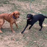 Sitter Profile Image: Lily & Eric W.