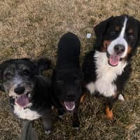 Sitter Profile Image: Rebecca S.