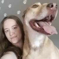 Sitter Profile Image: Ashley L.