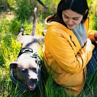 Immagine del profilo del sitter: Mayra M.