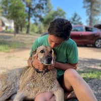 Sitter Profile Image: Julia K.