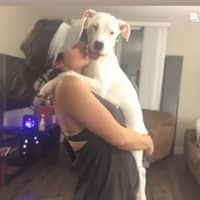 Sitter Profile Image: Sissi H.