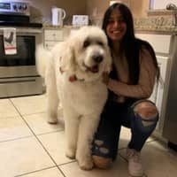 Sitter Profile Image: Irali C.