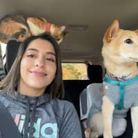 Sitter Profile Image: Katia M.