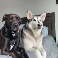 Sitter Profile Image: Natasha B.