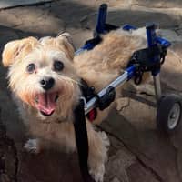 Sitter Profile Image: Criss N.