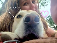 Sitter Profile Image: Kristen P.