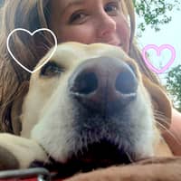 Sitter Profile Image: Kristen P.