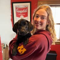 Sitter Profile Image: Sarah D.