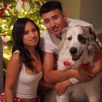 Sitter Profile Image: Adam G.