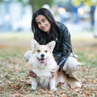 Photo de profil du pet sitter : Jessica F.