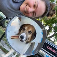 Sitter Profile Image: Samantha B.