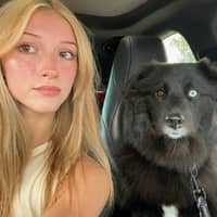 Sitter Profile Image: Briana A.