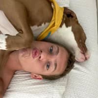 Sitter Profile Image: Ben J.