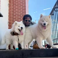 Sitter Profile Image: Robert F.