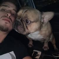 Sitter Profile Image: Roberto M.