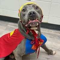 Sitter Profile Image: Derrick G.