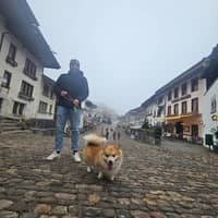 Photo de profil du pet sitter : Koumar b.