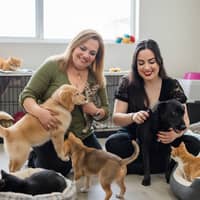 Foto del cuidador: Claudia A.