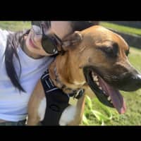 Sitter Profile Image: Fatima Zahra L.