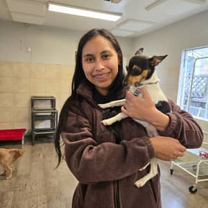 Sitter Profile Image: Victoria P.