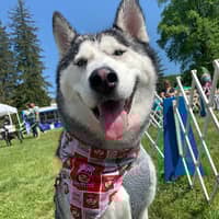 Sitter Profile Image: Angelica M.