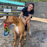 Sitter Profile Image: Eden V.