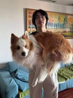 Photo de profil du pet sitter : JIHAO C.