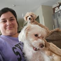 Sitter Profile Image: Megan C.