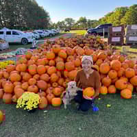 Sitter Profile Image: Courtney A.