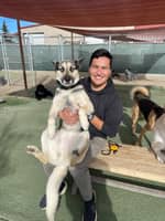 Sitter Profile Image: Jorge G.