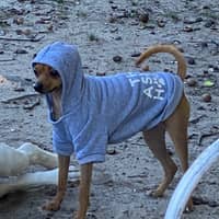 Sitter Profile Image: Julie B.