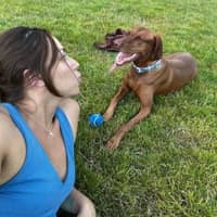 Sitter Profile Image: kayla c.