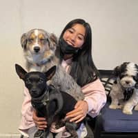 Sitter Profile Image: Jing L.