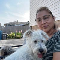 Sitter Profile Image: Amy A.