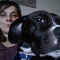 Sitter Profile Image: Marija S.