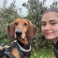 Immagine del profilo del sitter: Letizia G.