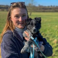 Sitter Profile Image: Kimberley J.