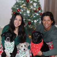 Sitter Profile Image: Ali G.