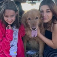 Sitter Profile Image: Meera M.