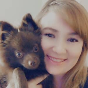 Best Dog Boarding in Tupelo, MS | Rover.com