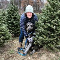 Sitter Profile Image: Allison V.