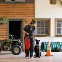 Sitter Profile Image: Yrene R.