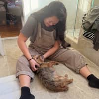 Sitter Profile Image: Nicole M.